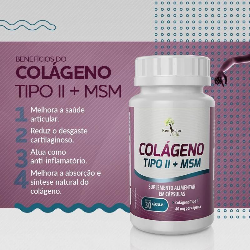 COLÁGENO TIPO II + MSM Bem Estar Life Premmier Diet